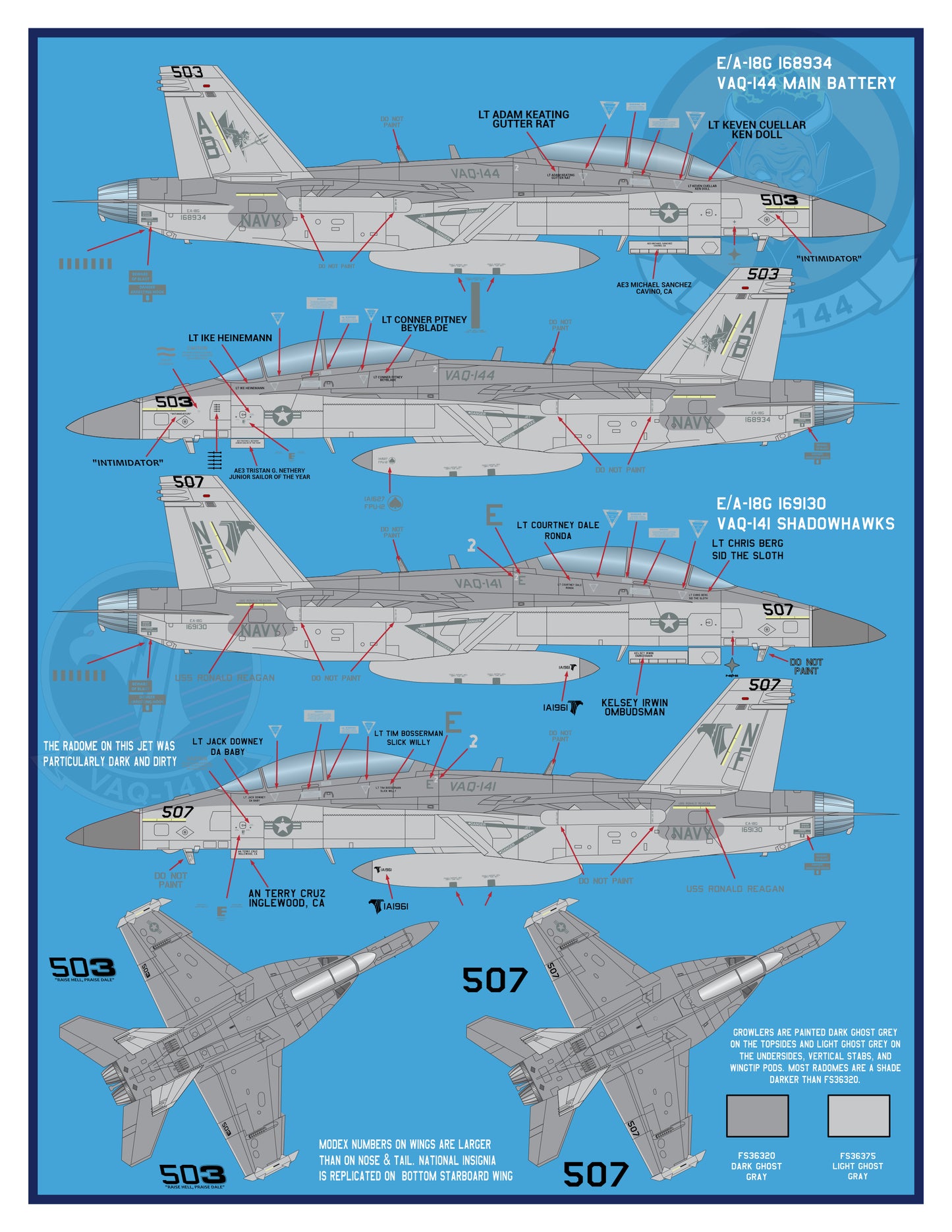 32-002 "Large Scale and Low-Vis" E/A-18G Growlers