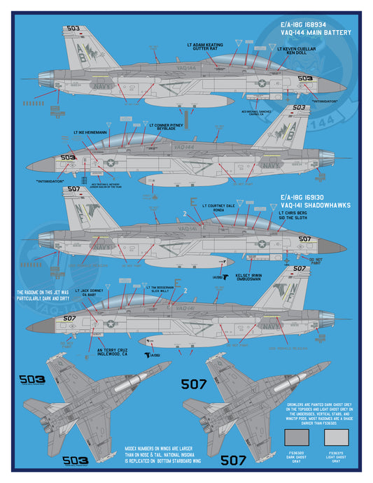 32-002 "Large Scale and Low-Vis" E/A-18G Growlers